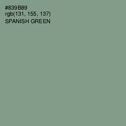 #839B89 - Spanish Green Color Image